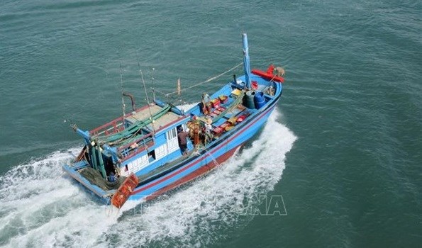 Promueve Vietnam proteccion de recursos acuaticos asociados a prevencion contra pesca ilegal hinh anh 1