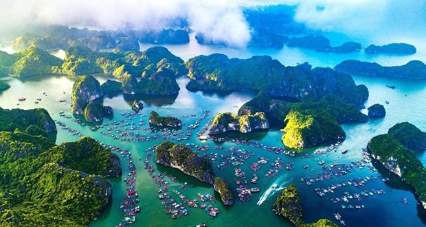Vietnam refuerza la gestion de areas marinas protegidas hinh anh 1