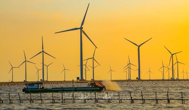 Vietnam con potencialidades para desarrollar energia eolica marina hinh anh 1