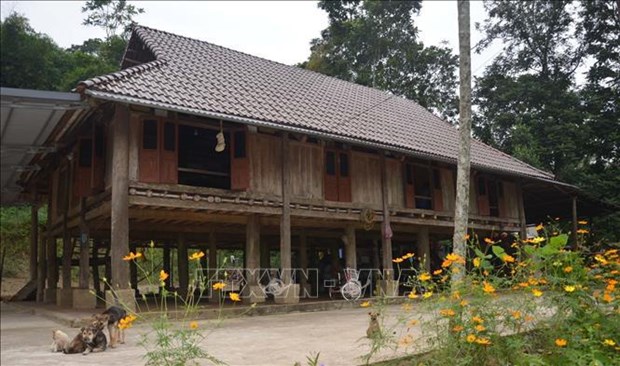 Preservan palafitos tradicionales del pueblo de Muong con turismo comunitario hinh anh 1