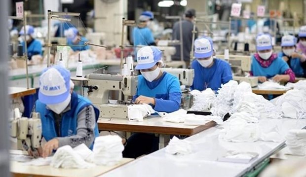 Mercado laboral en Vietnam: adaptacion segura a la nueva normalidad hinh anh 1