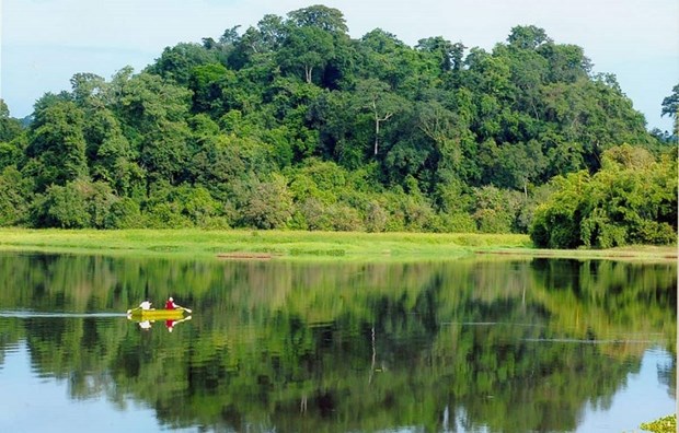 Isla vietnamita de Phu Quoc establece plan para proteccion forestal sostenible hinh anh 2