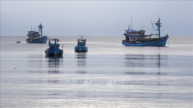 Sector pesquero vietnamita por desarrollarse de manera moderna y sostenible hinh anh 1