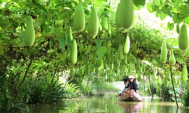 Provincia vietnamita de Dong Thap por desarrollar turismo ecologico hinh anh 3