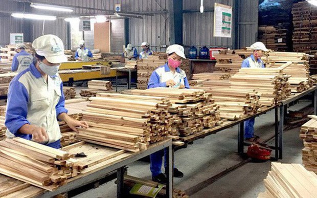 Exportaciones del sector maderero de Vietnam por lograr 20 mil millones de dolares para 2025 hinh anh 2