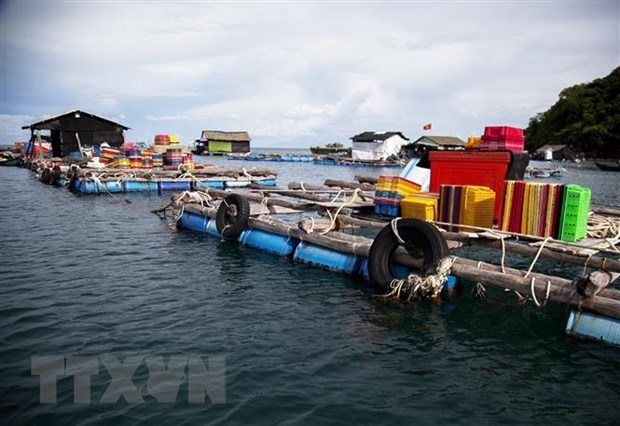 Vietnam por desarrollar de manera sostenible sector acuatico hinh anh 2