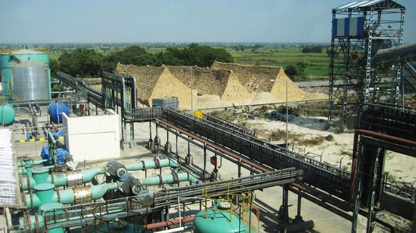 Vietnam busca promover electricidad de biomasa hinh anh 1