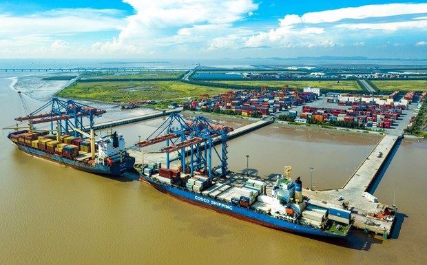Comercio exterior de Vietnam podria alcanzar 750 mil millones de dolares en 2022, segun experto hinh anh 1