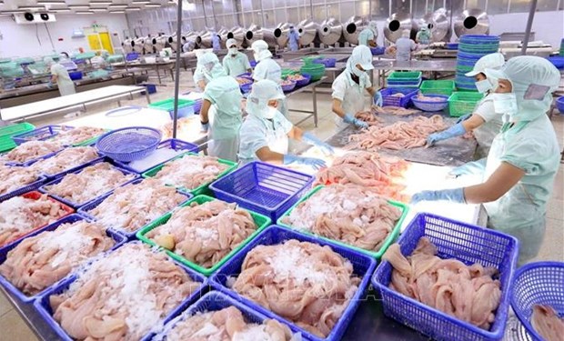 Exportaciones de mariscos de Vietnam en segundo trimestre pueden lograr record de tres mil millones de dolares hinh anh 1