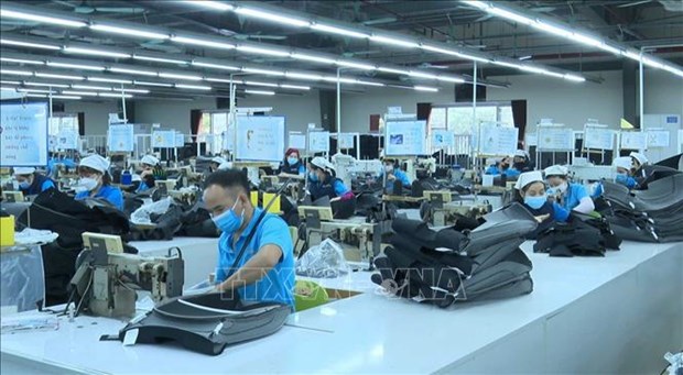 Empresas vietnamitas se centran en formacion intensiva de recursos humanos hinh anh 1