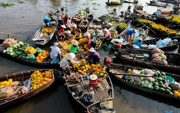 Desarrollo y prosperidad del Delta de Mekong mejoran calidad de vida hinh anh 2