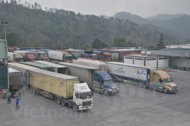 Examinan modos de aliviar congestion en puerta fronteriza entre Vietnam y China hinh anh 1