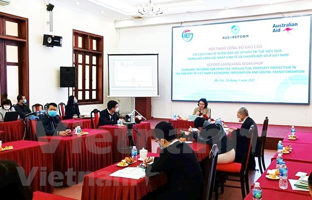 Sugerencias para mejorar la proteccion de derechos de propiedad intelectual en Vietnam hinh anh 2