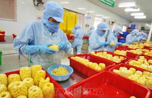 Vietnam por convertirse en uno de los 10 principales centros de procesamiento agricola del mundo para 2030 hinh anh 1