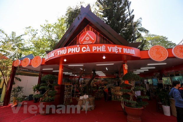 Festival del Cafe Buon Ma Thuot afirmara posicion del cafe vietnamita hinh anh 2