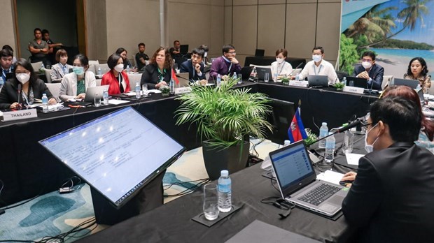 Comercio digital dinamiza la ASEAN hinh anh 2