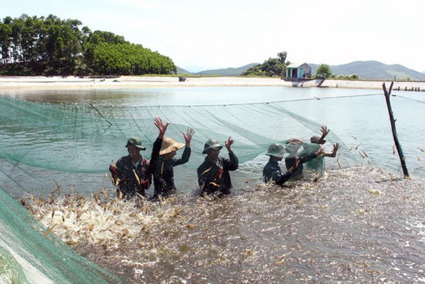 Produccion acuatica de Hanoi alcanza 25 mil toneladas en primer trimestre hinh anh 1