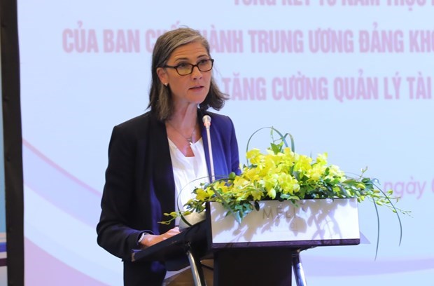 Transicion energetica en Vietnam moviliza fondos millonarios de socios internacionales hinh anh 3