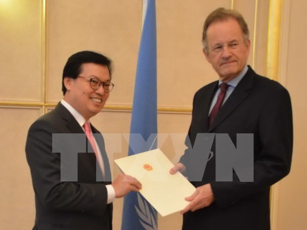 Continua Vietnam participando activamente en actividades de ONU hinh anh 1