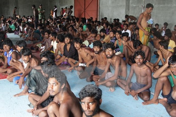 Indonesia llama el fin de violencia hacia los rohingyas hinh anh 1