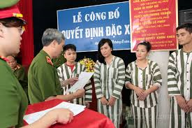 Concedera Vietnam amnistia en ocasion del Ano Nuevo Lunar hinh anh 1