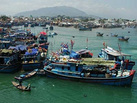Tra Vinh apoya a los grupos cooperativos en la pesca en alta mar hinh anh 1
