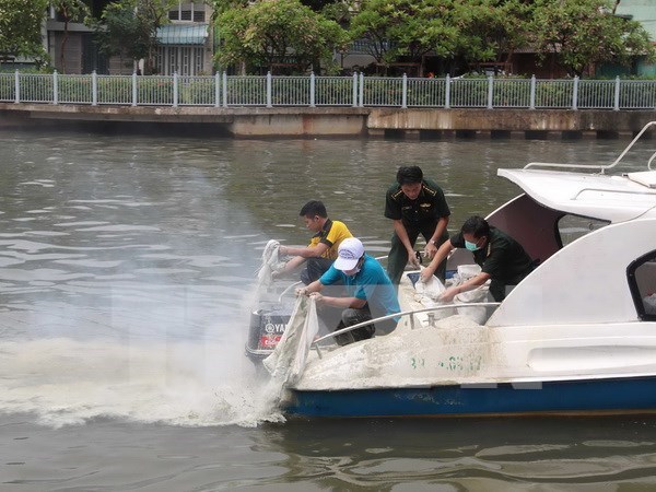 Ciudad Ho Chi Minh se empena en reducir contaminacion en canales y rios hinh anh 1