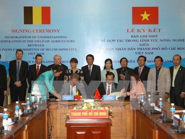 Ciudad Ho Chi Minh y la region belga de Flandes Oriental cooperan en el sector agricola hinh anh 1