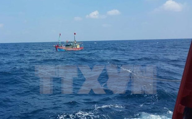 Mejoran conciencia de pescadores sobre cumplimiento de la ley hinh anh 1