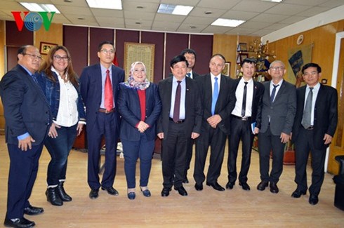 Radioemisoras de Vietnam y Egipto fortalecen cooperacion hinh anh 1