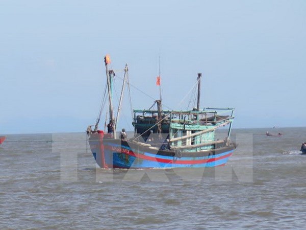 Forman cooperativa juvenil en Ha Tinh para ayudar a pesca en alta mar hinh anh 1