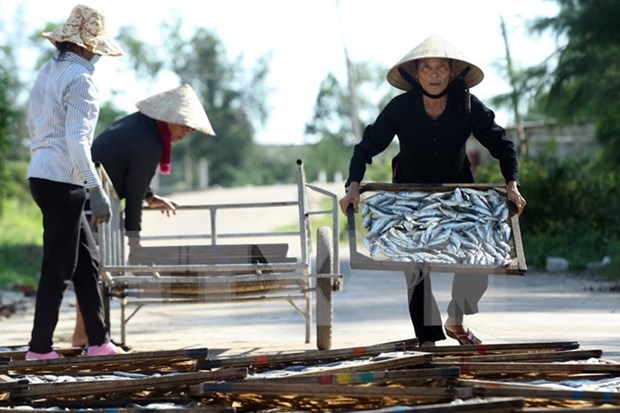 Vietnam enfrascado en solucion de consecuencias de incidente ambiental hinh anh 1