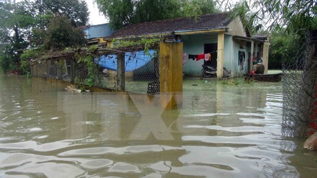 17 muertos por inundaciones en el Centro de Vietnam hinh anh 1