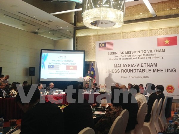 Fomentan cooperacion economica Vietnam y Malasia hinh anh 1