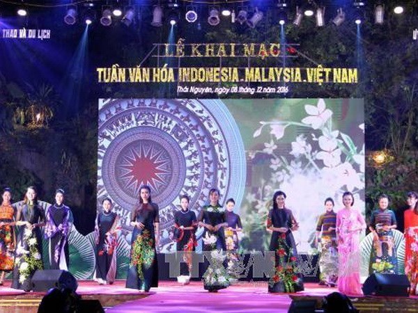 Inauguran Semana de Cultura Malasia- Indonesia- Vietnam hinh anh 1