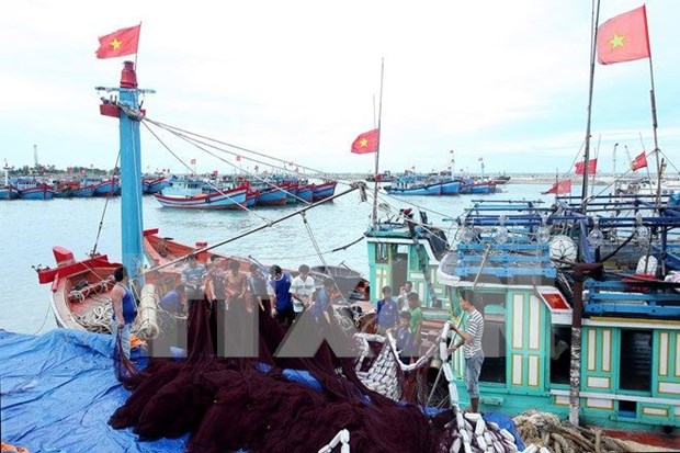 Esmerado Vietnam en impulsar la economia maritima hinh anh 1