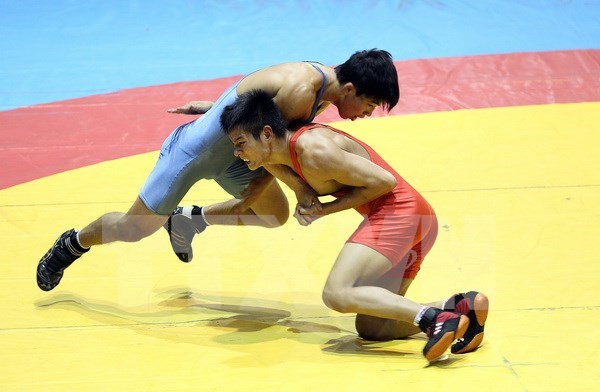 Vietnam se impone en campeonato regional de lucha libre hinh anh 1