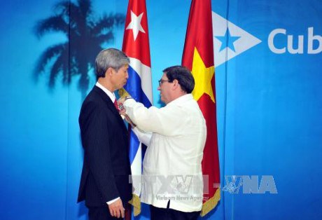 Cuba confiere medalla de la Amistad al embajador vietnamita hinh anh 1