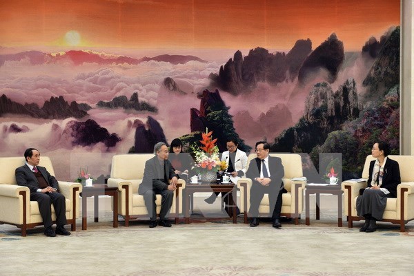 China busca fortalecer asociacion con Vietnam hinh anh 1