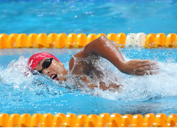 Nadadora vietnamita gana seis medallas de oro en torneo regional hinh anh 1