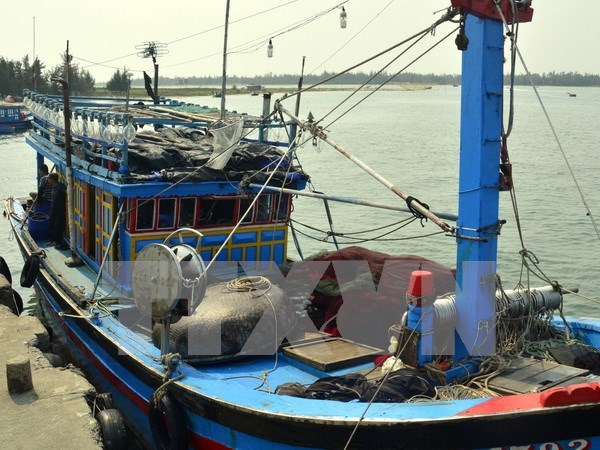 Rescatan a pescador filipino accidentado en el mar de Vietnam hinh anh 1