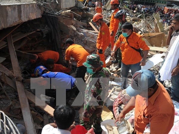 Mas de ocho mil heridos y muertos por terremoto en Indonesia hinh anh 1