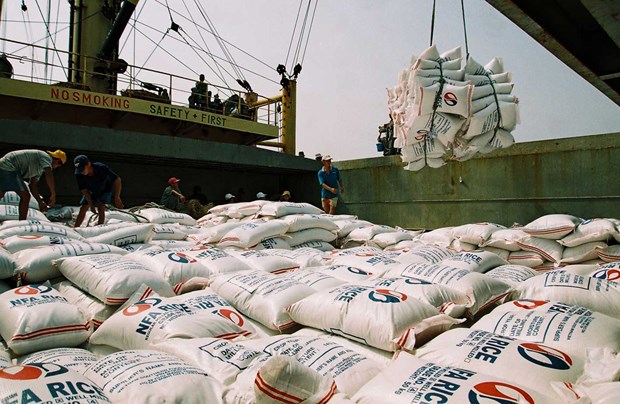 Vietnam recortara impuestos a arroz y hojas de tabaco importados de Camboya hinh anh 1
