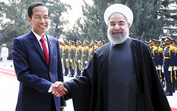 Fortalecen cooperacion entre Indonesia e Iran hinh anh 1