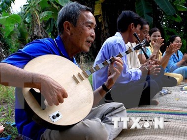 Vietnam promueve preservacion y desarrollo de valores de Don ca tai tu hinh anh 1