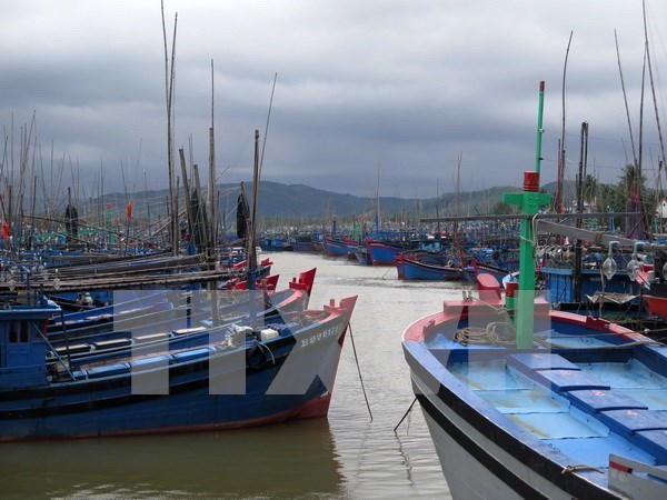 Provincia vietnamita en necesidad de medios para faenas en el mar hinh anh 1