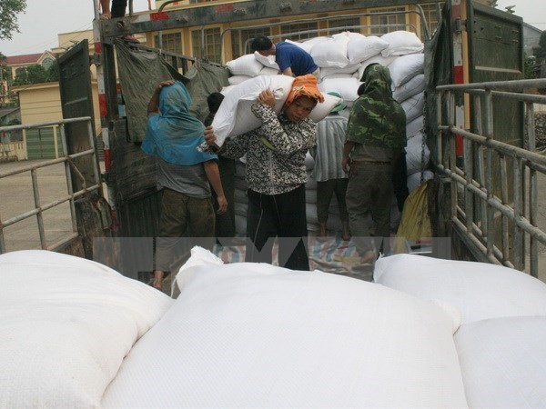 Asistencia urgente de dos mil toneladas de arroz a Binh Dinh hinh anh 1
