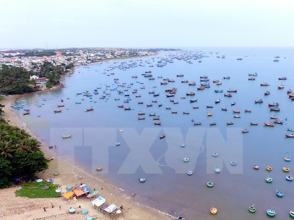 Promueven en Vietnam acciones de proteccion medioambiental marina hinh anh 1