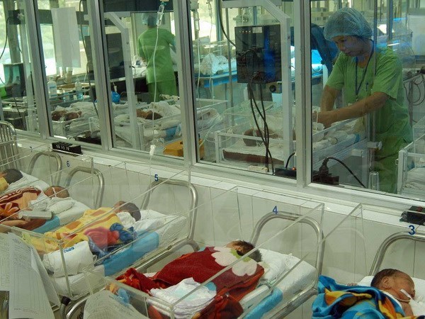 El 99,9 por ciento de las embarazadas en Hanoi reciben atencion prenatal hinh anh 1