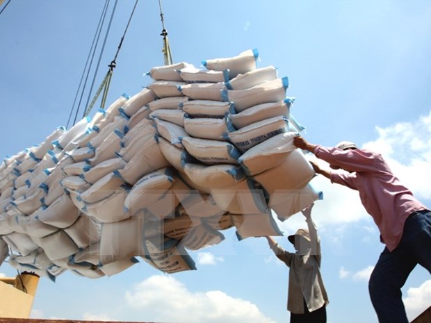 Exportadores vietnamitas de arroz obtienen acceso al mercado chino hinh anh 1